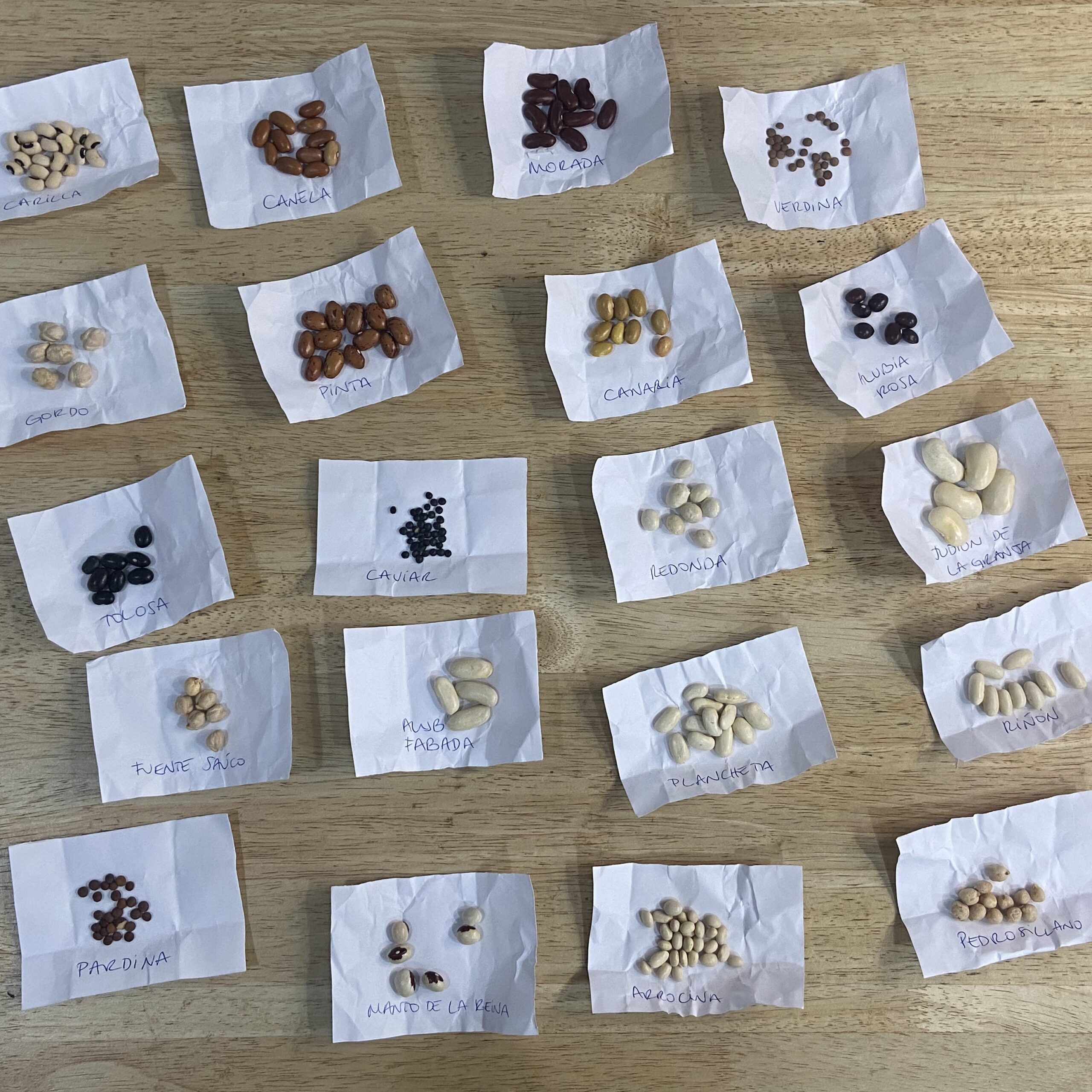 Aprende a Cocinar - Imagen 3